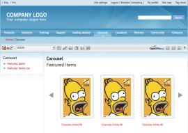 Carousel three item wide screenshot